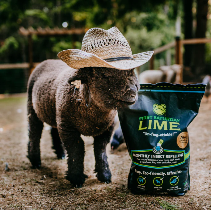 First Saturday Lime Insect Repellent