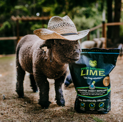 First Saturday Lime Insect Repellent